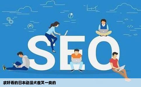 求好看的日本动漫犬夜叉一类的