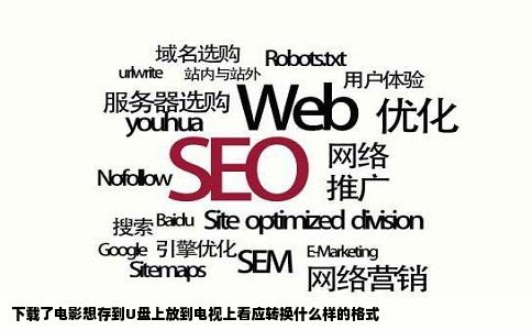 下载了电影想存到U盘上放到电视上看应转换什么样的格式