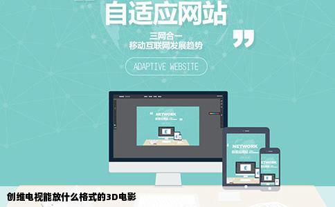创维电视能放什么格式的3D电影