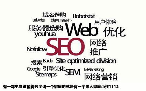 有一部电影谁值得名字讲一个家庭的就是有一个黑人家庭小孩1112