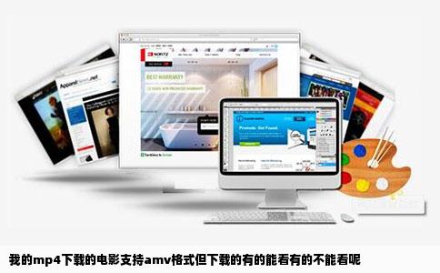 我的mp4下载的电影支持amv格式但下载的有的能看有的不能看呢
