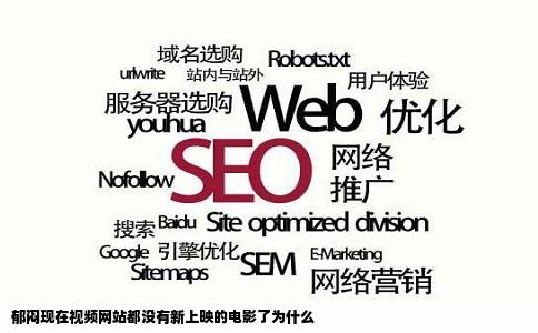 郁闷现在视频网站都没有新上映的电影了为什么