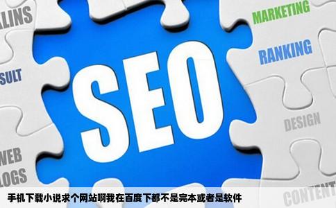 手机下载小说求个网站啊我在百度下都不是完本或者是软件