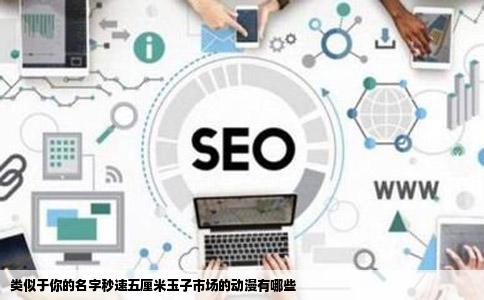 类似于你的名字秒速五厘米玉子市场的动漫有哪些