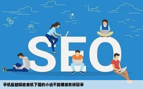 手机版蜻蜓收音机下载的小说不能播放怎样回事