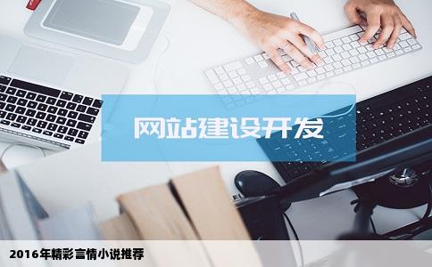 2016年精彩言情小说推荐