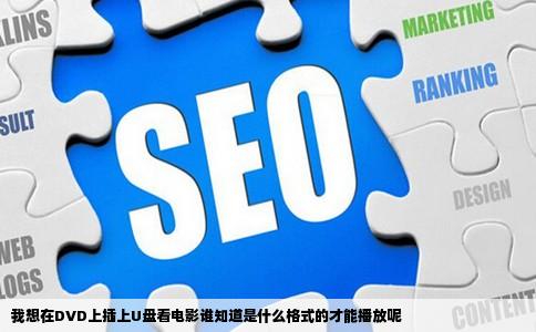 我想在DVD上插上U盘看电影谁知道是什么格式的才能播放呢