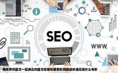 梅艳芳刘德华一起演出刘德华在唱张国荣的风继续吹请问是什么电影