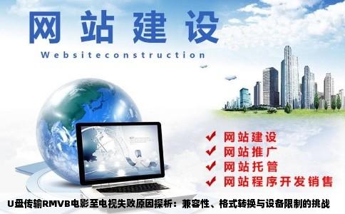 U盘传输RMVB电影至电视失败原因探析：兼容性、格式转换与设备限制的挑战