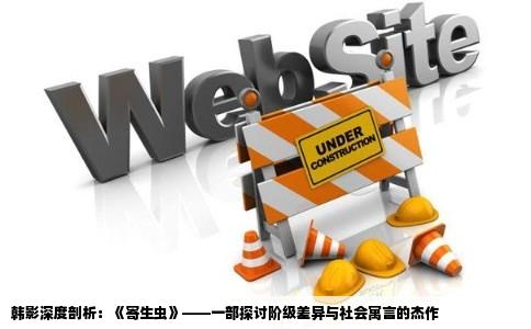 韩影深度剖析：《寄生虫》——一部探讨阶级差异与社会寓言的杰作