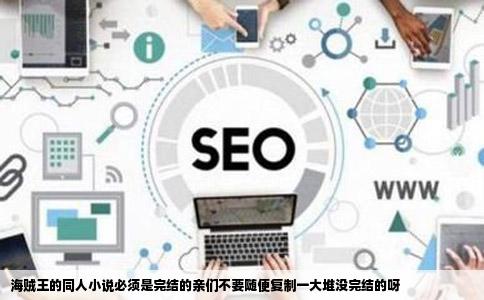 海贼王的同人小说必须是完结的亲们不要随便复制一大堆没完结的呀