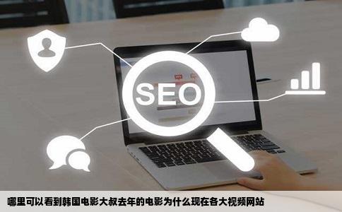 哪里可以看到韩国电影大叔去年的电影为什么现在各大视频网站
