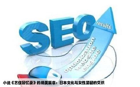 小说《艺伎回忆录》的绝美篇章：日本文化与女性坚韧的交织