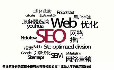 有没有好看的言情小说有关青春校园的高中或是大学的已完结的最