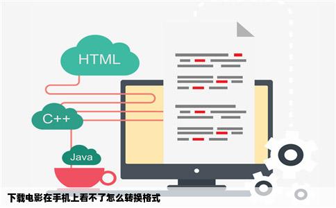 下载电影在手机上看不了怎么转换格式