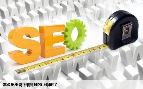 怎么把小说下载到MP3上啊谢了