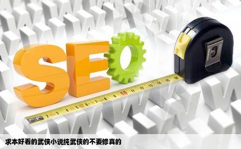 求本好看的武侠小说纯武侠的不要修真的