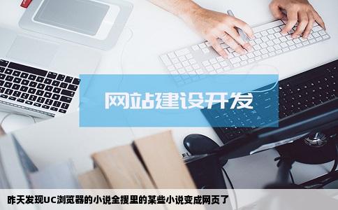 昨天发现UC浏览器的小说全搜里的某些小说变成网页了