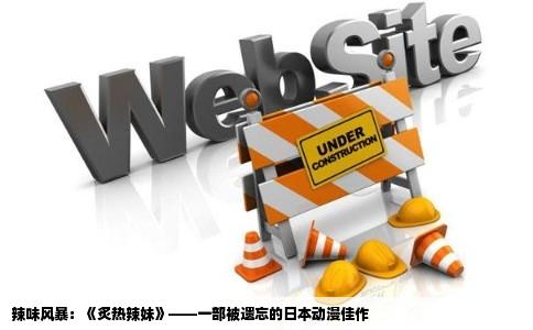 辣味风暴：《炙热辣妹》——一部被遗忘的日本动漫佳作