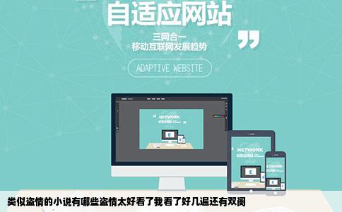类似盗情的小说有哪些盗情太好看了我看了好几遍还有双阕