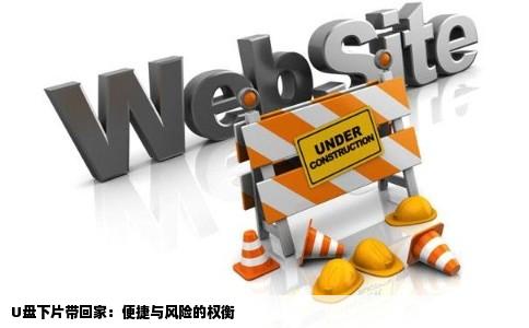 U盘下片带回家：便捷与风险的权衡