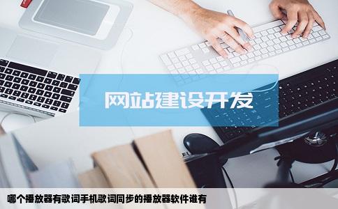 哪个播放器有歌词手机歌词同步的播放器软件谁有