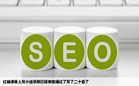 红袖添香上写小说早就已经审核通过了写了二十章了