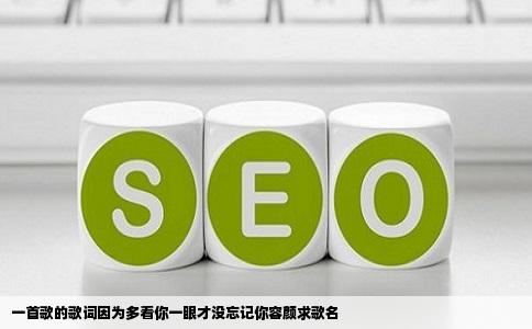 一首歌的歌词因为多看你一眼才没忘记你容颜求歌名