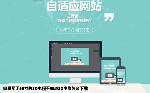 家里买了55寸的3D电视不知道3D电影怎么下载