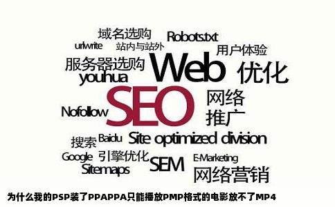 为什么我的PSP装了PPAPPA只能播放PMP格式的电影放不了MP4