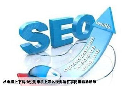 从电脑上下载小说到手机上怎么没办法在掌阅里看急急急