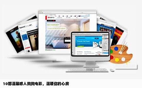 10部温馨感人狗狗电影，温暖你的心房