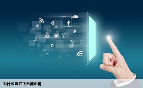 为什么晋江下不成小说