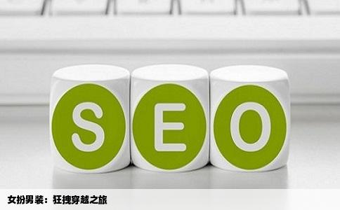 女扮男装：狂拽穿越之旅