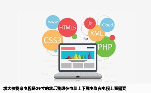 求大神我家电视是29寸的然后我想在电脑上下载电影在电视上看需要