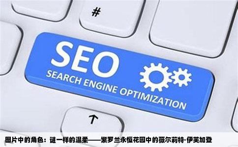 图片中的角色：谜一样的温柔——紫罗兰永恒花园中的薇尔莉特·伊芙加登
