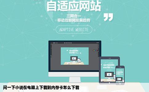 问一下小说在电脑上下载到内存卡怎么下载