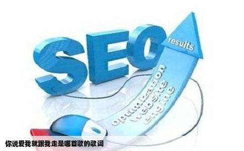 你说爱我就跟我走是哪首歌的歌词