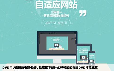 DVD用U盘播放电影但是U盘应该下载什么样格式的电影DVD才能正常