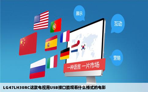 LG47LH30RC这款电视用USB接口能观看什么格式的电影