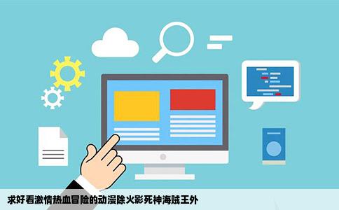 求好看激情热血冒险的动漫除火影   神海贼王外