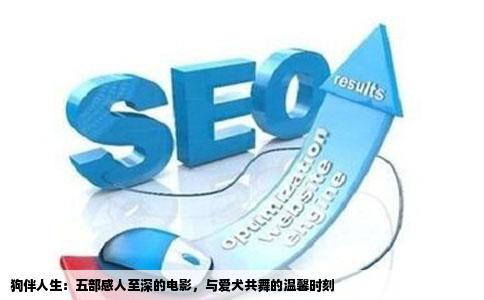 狗伴人生：五部感人至深的电影，与爱犬共舞的温馨时刻