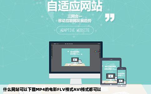 什么网站可以下载MP4的电影FLV格式AVI格式都可以