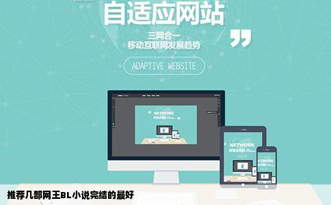 推荐几部网王BL小说完结的最好