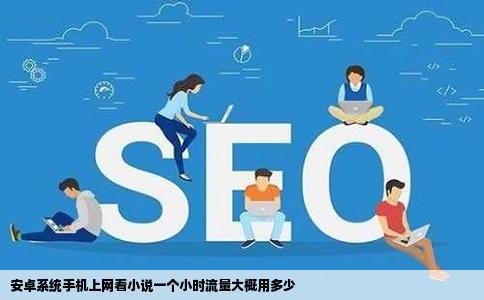 安卓系统手机上网看小说一个小时流量大概用多少