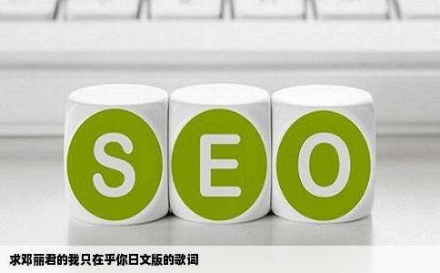 求邓丽君的我只在乎你日文版的歌词