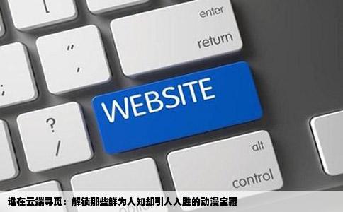 谁在云端寻觅：解锁那些鲜为人知却引人入胜的动漫宝藏