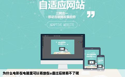 为什么电影在电脑里可以看放在u盘过后就看不了呢
