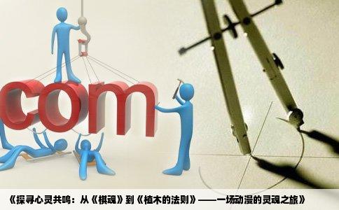 《探寻心灵共鸣：从《棋魂》到《植木的法则》——一场动漫的灵魂之旅》