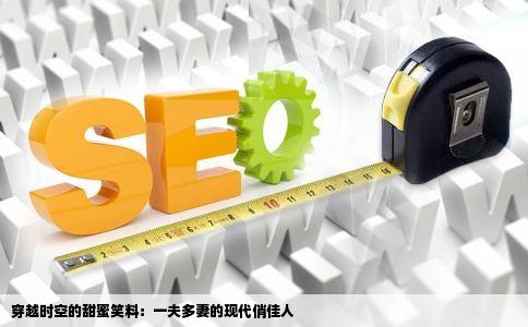 穿越时空的甜蜜笑料：一夫多妻的现代俏佳人